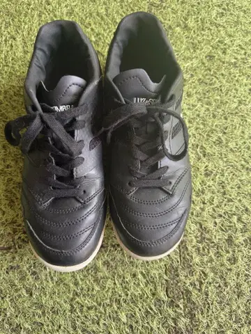 24.0 Luz 트레이닝화 루스이슨 브라