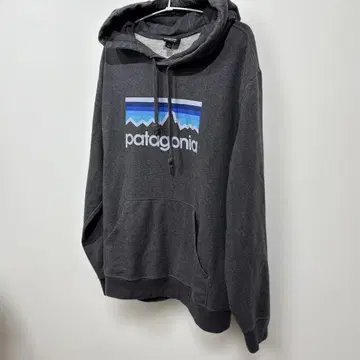 patagonia 그레이 후드 부착 후드티