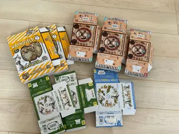 다얀 고양이 빈 박스 컬렉션 40주년