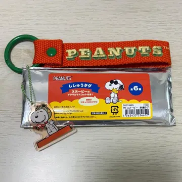 [ PEANUTS ] 스누피 자수 택 스누피 타운