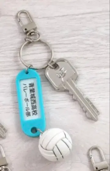 하이큐 트레이딩 고교명 포함 열쇠 참 키링 아오바죠사이 고교