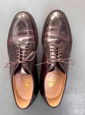 새상품급 Alden 알든 54321 7.5D 버건디