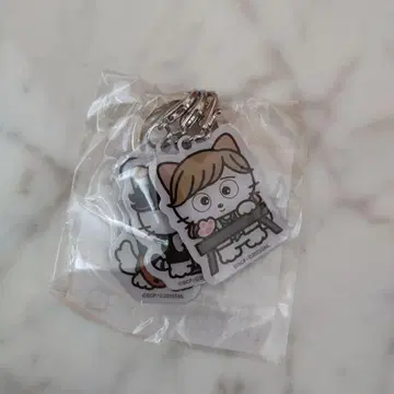 TMNETWORK 2025 IP 타마 콜라보 메탈 참