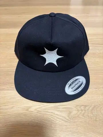 THE STORY SO FAR 스냅백 캡