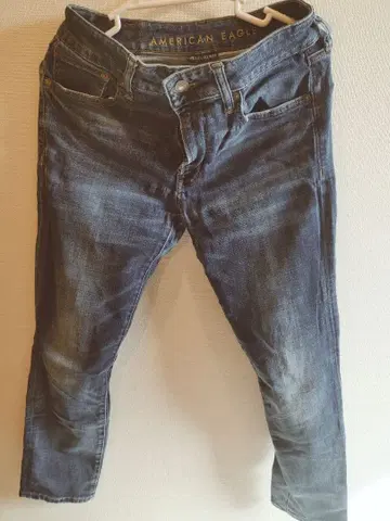 AMERICAN EAGLE NEXXT LEVEL FLEX 데님