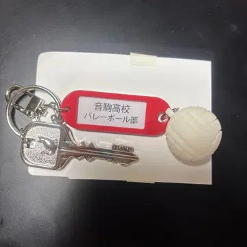 [ 네코마 ] 하이큐 열쇠 참 트레이딩 고등학교 이름 포함 열쇠 키링