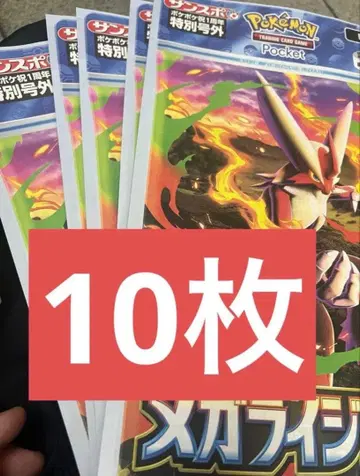 포켓몬 포켓포켓 호외 10부