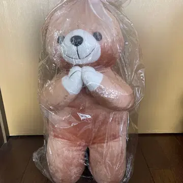 브라운 봉제 인형 빅 오네가이 포즈