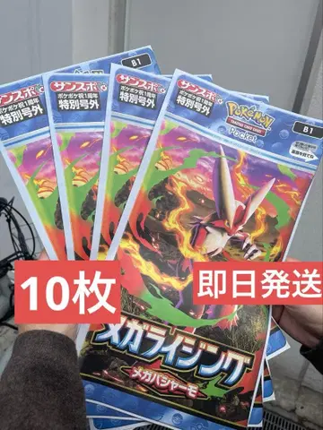 포켓몬 포케포케 호외 10부