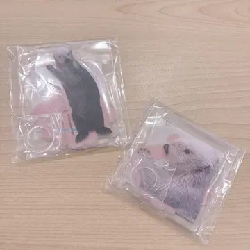 도바 수족관 복권 랏코 펜 스탠드 메이 얌전한 모습