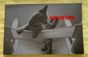 에이지가 뉴욕 거리의 사진을 찍었다는 이미지입니다.