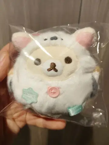 b 코리락쿠마 시마연가 삿포로 센다이 한정판 봉제 인형