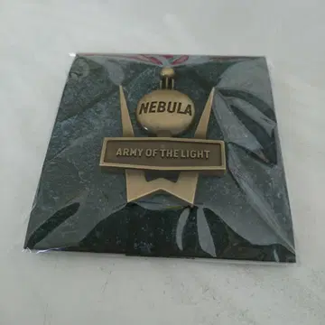 NEBULA ARMY OF THE LIGHT 핀 배지