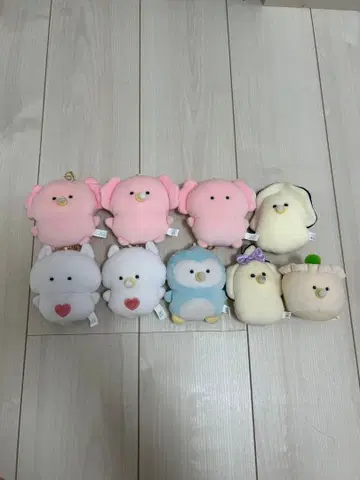 동글동글 눈 수족관 생굴 중화 껴안는 인형