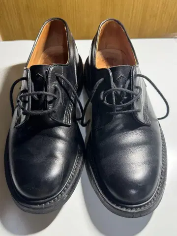 트리커스 우드스탁