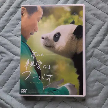 나의 단짝이 되는 푸바오 DVD