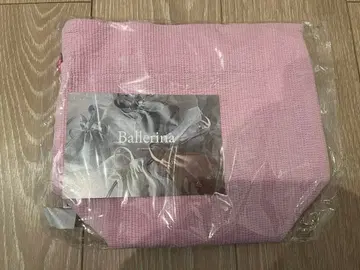 비오는날 발레리나 플라밍고