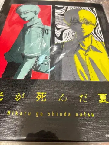 빛이 죽은 여름 영화 포스터풍 캔버스 아트