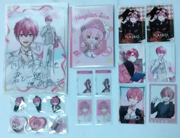 이레이스 나이코