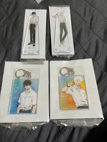 빛이 죽은 여름 오로라 아크릴 키링 ~ 아크릴 볼체인 GiGO 한정판