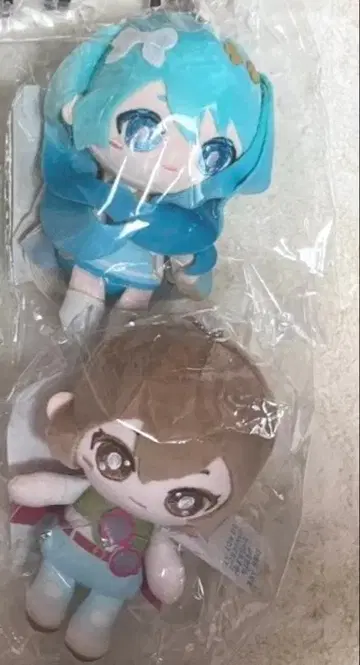 부서진 세계 하피콜레 바차 묶음 판매