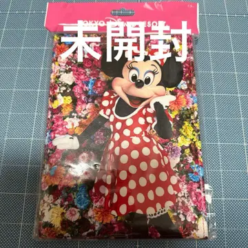 디즈니 리조트 미니 이매지닝 더 매직 니나가와 미카