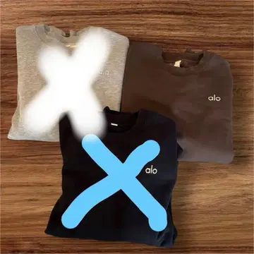 alo 맨투맨 트레이닝복 브라운