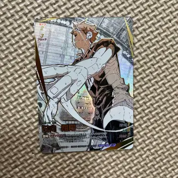 하이큐!! 바보카 히나타 쇼요