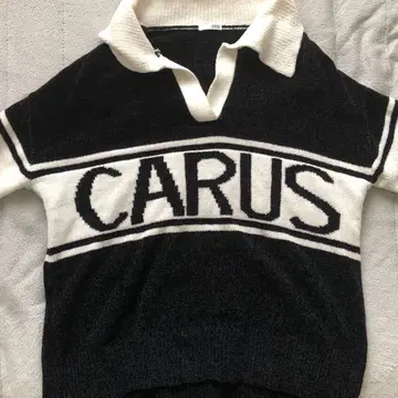 CARUS V넥 니트 피케 셔츠