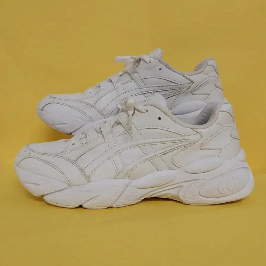 Men's Asics Sneakers (265)