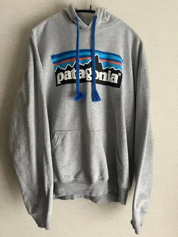 patagonia 그레이 로고 후드티