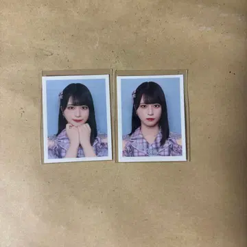 사사키 마이카 절대 아이돌 그만두지 마 id 사진 포즈 무표정 세미 컴프