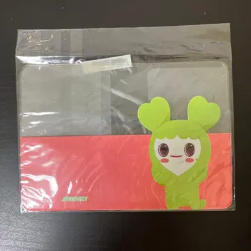 새상품 TWICE 여권 케이스 정블리(정현) 정연