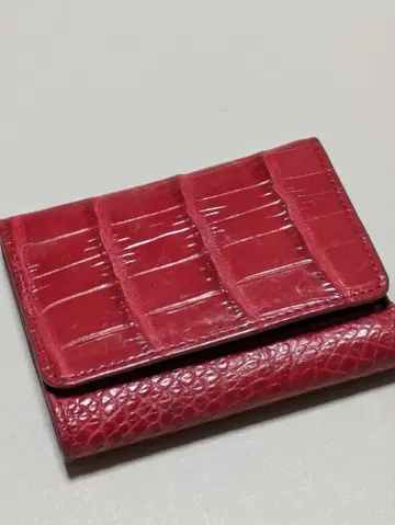 크로커다일 이단 접이식 elegance 지갑 코인 케이스 포함