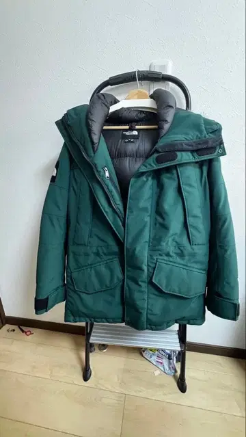 안타르티카 파카