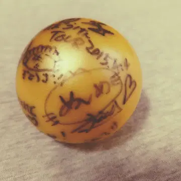 덴파구미 아이자와 리사 사인볼 대모험 투어