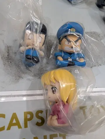 코치카메 기다림 세트 혼다 아키모토 오하라