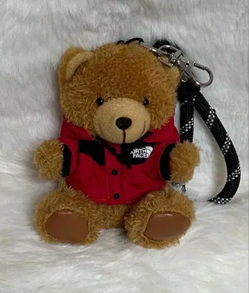 THE NORTH FACE 곰 키링