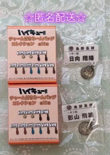 하이큐!! 참 포함 네임 배지 컬렉션 히나타 카게야마 2개 세트