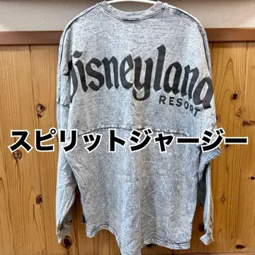 디즈니랜드 스피릿 저지 스피자 해외 애너하임 케미컬