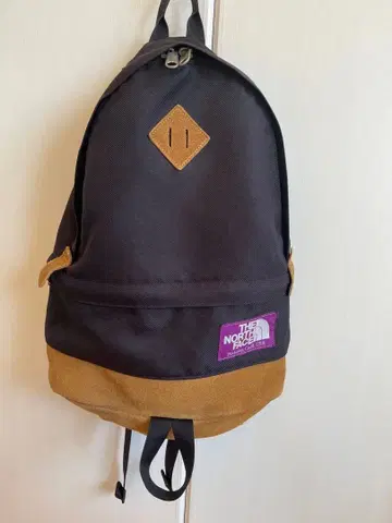 THE NORTH FACE 백팩 블랙과 브라운