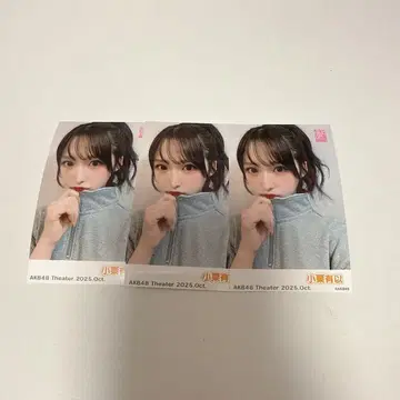 오구리 유이 핑퐁 사진 3장 세트