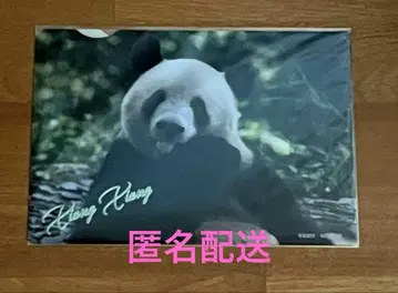 샹샹 우에노 마츠자카야 클리어 파일 미개봉 새상품