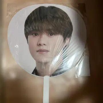 아이돌 부채 약 25cm
