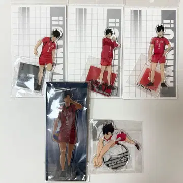 하이큐 쿠로오 테츠로 아크릴 스탠드 아크스타 5점 묶음 판매