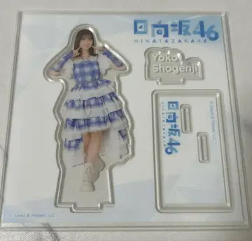 로손 히나타자카46 복권 쇼겐지 요코 아크릴 스탠드