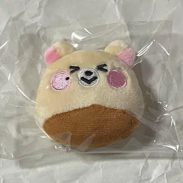 NCT DREAM dreamiez's 인형 배지 지성 밤치