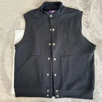 THE NORTH FACE 퍼플 라벨 베스트