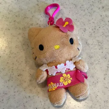 하와이 일광화상 키티