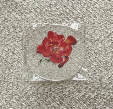 [ 미사용 새상품 ] 아이묭 특전 아크릴 코스터 사랑의 꽃